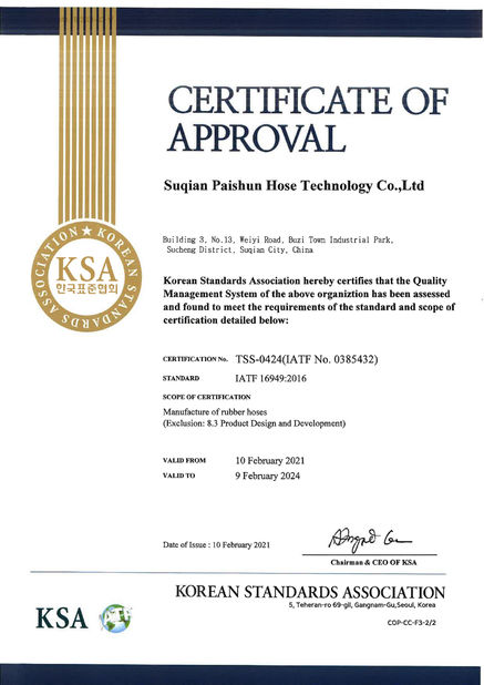China Hangzhou Paishun Rubber &amp; Plastic Co., Ltd certificaciones