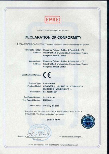China Hangzhou Paishun Rubber &amp; Plastic Co., Ltd certificaciones